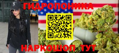 индика Тверь