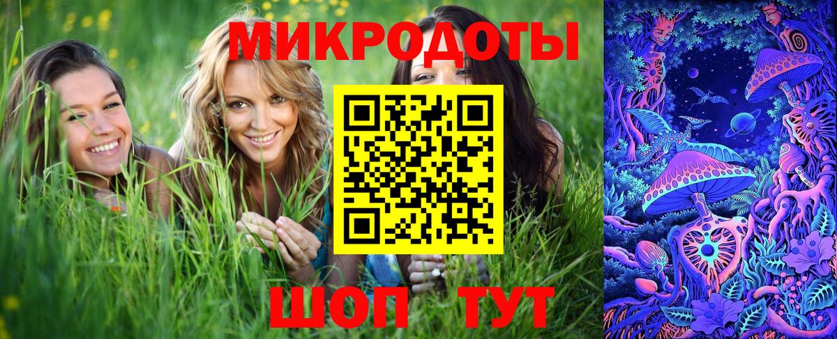 Ачхой-Мартан  Галлюциногенные грибы MAGIC MUSHROOMS  Вход с VPN 